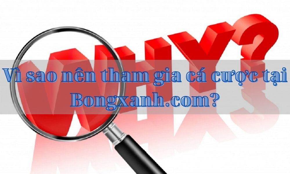 Bongxanh.com nơi cá cược an toàn, uy tín
