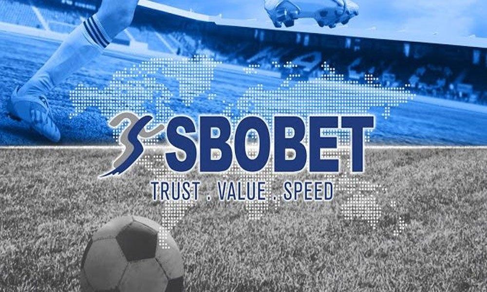 Thông tin sơ lược về trang bóng đá Dailysbobet