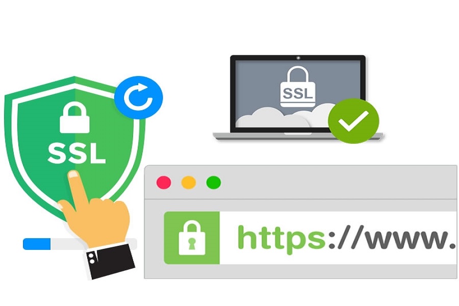 Chứng chỉ số SSL